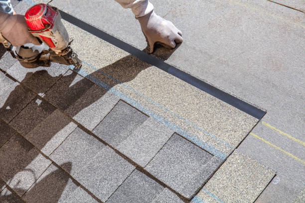 Best Roof Waterproofing Services  in Shoreview, MN